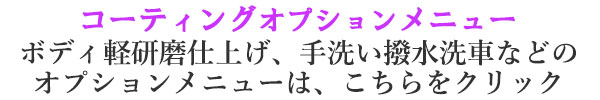 ボディ軽研磨仕上げ、手洗い撥水洗車などのその他コーティング（オプション）メニュー
